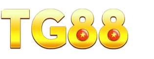 66tg88